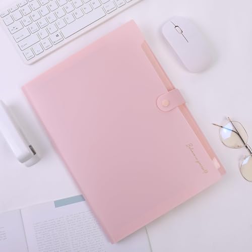 Classic SKYDUE Expanding File Folder, Accordion File Organizer with for Daily Use