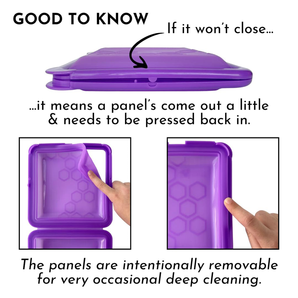 Big Bee, Little Bee SoftShell Reusable Silicone Food Storage Container - Clamshell Snap-Close Design, No Lost Lids, Easy to Clean, Compact for Travel, Meal Prep, Microwave Freezer and Dishwasher Safe