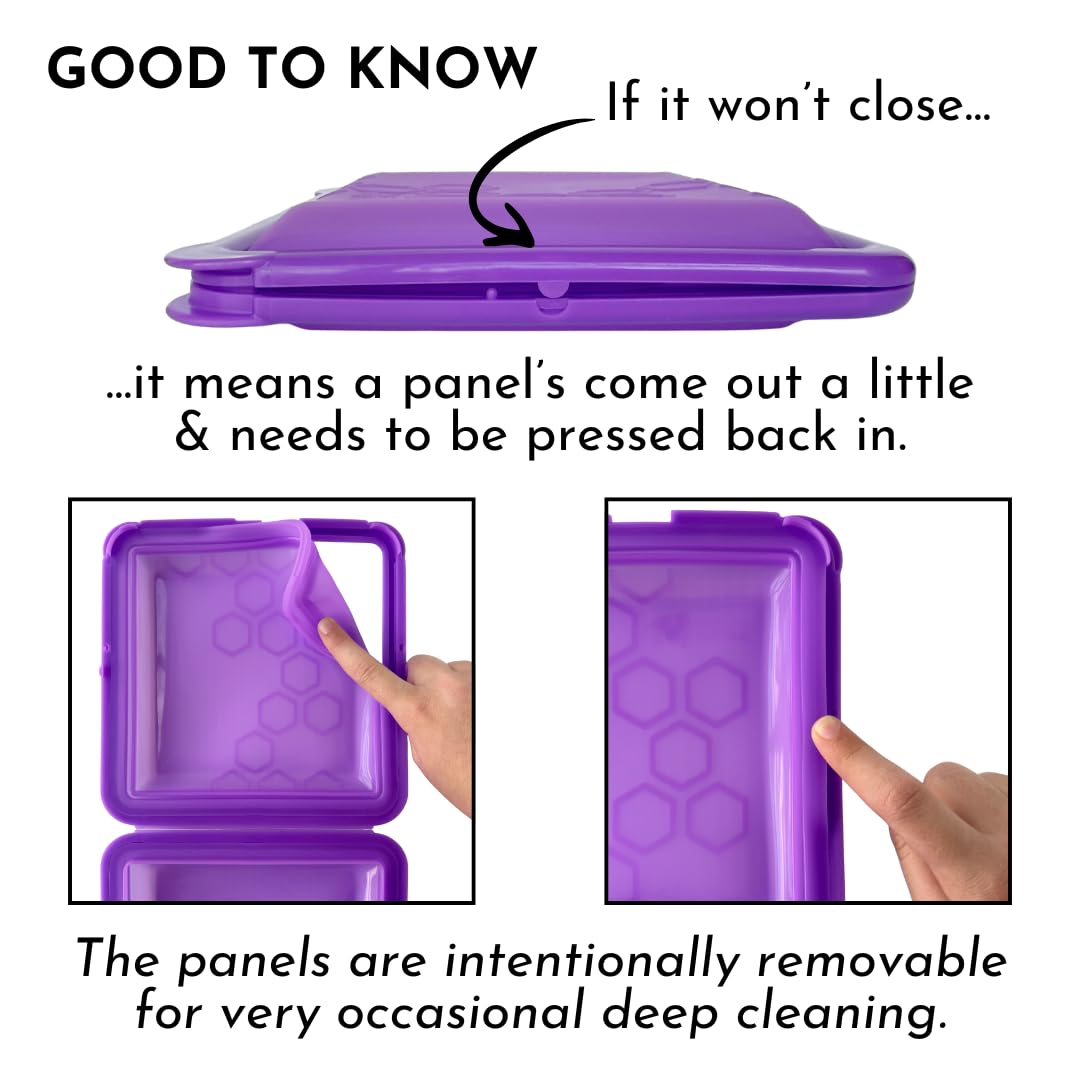 Big Bee, Little Bee SoftShell Reusable Silicone Food Storage Container - Clamshell Snap-Close Design, No Lost Lids, Easy to Clean, Compact for Travel, Meal Prep, Microwave Freezer and Dishwasher Safe