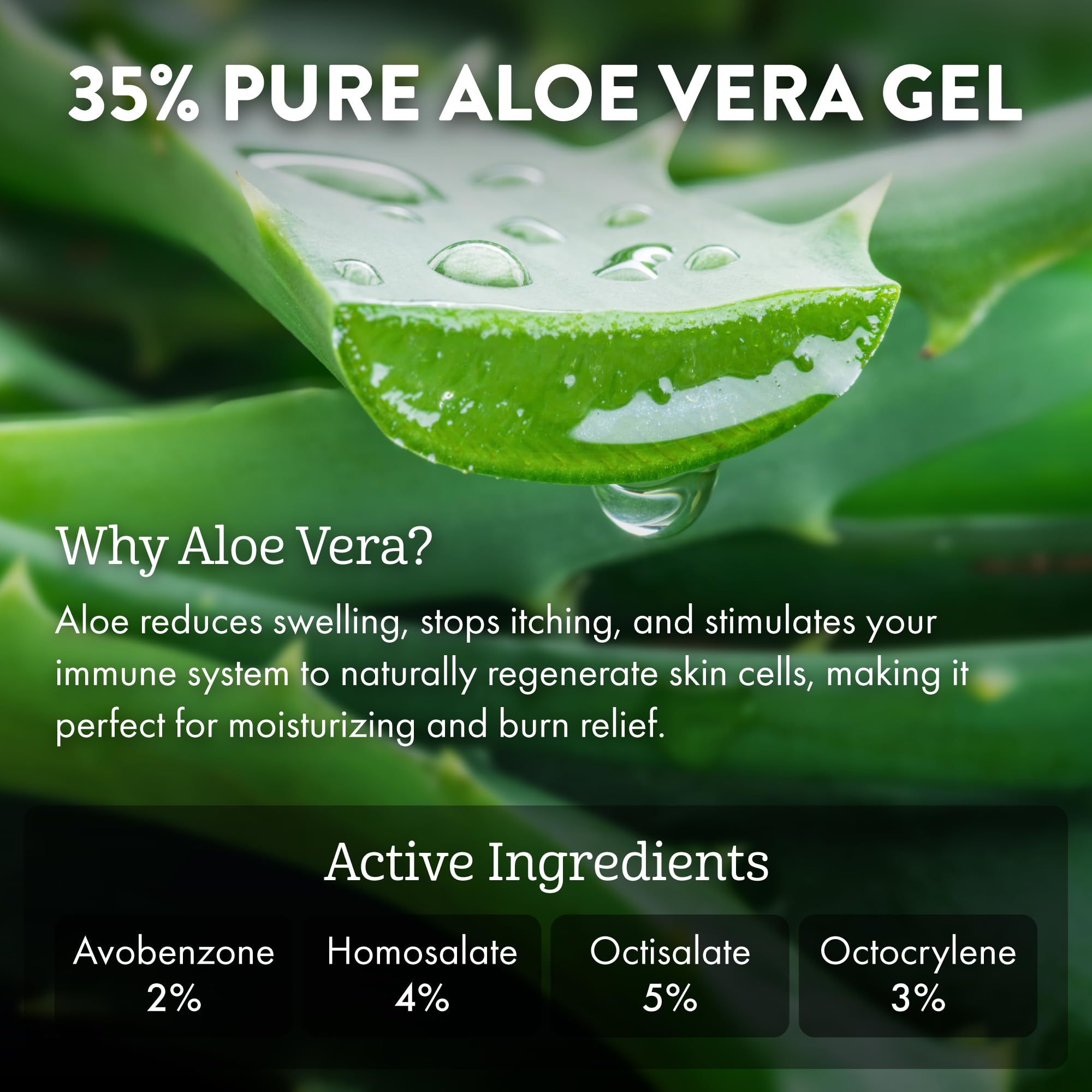 Aloe Up Sport Sunscreen Body Lotion SPF 50 – Broad Spectrum Sunblock With Aloe Vera Gel – Non-Greasy, Skin Sun Protection, No White Cast – Sunscreen – Fragrance-Free – 6 Oz, 2-Pack
