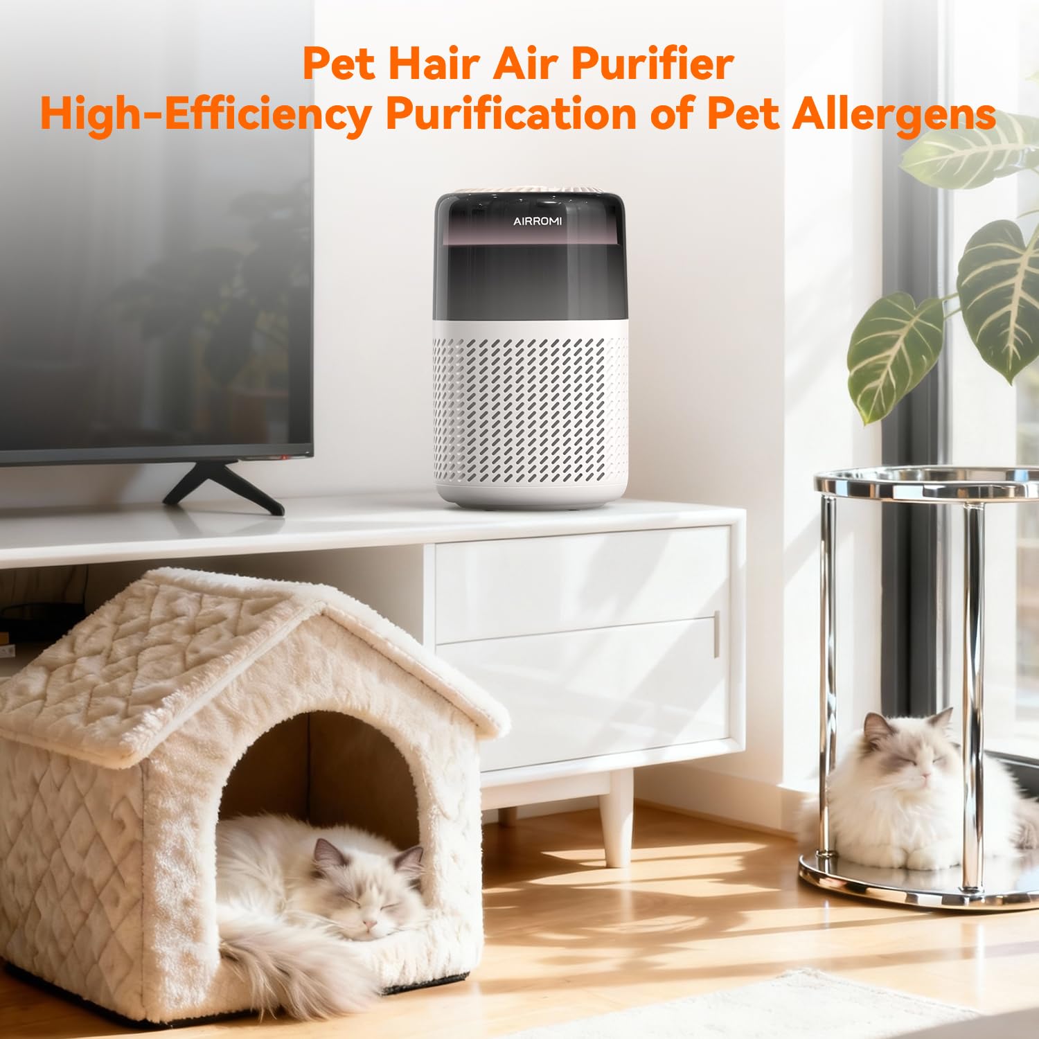 AIRROMI HEPA Air Purifier for Bedroom&Home,Pet Air Purifier for Home Pets,Removes Pet Odor,Cat Litter Smell,Dust,Smoke&Allergies,Quiet Room Air Purifier with Scents,360°Air Cleaner,A2005 Black